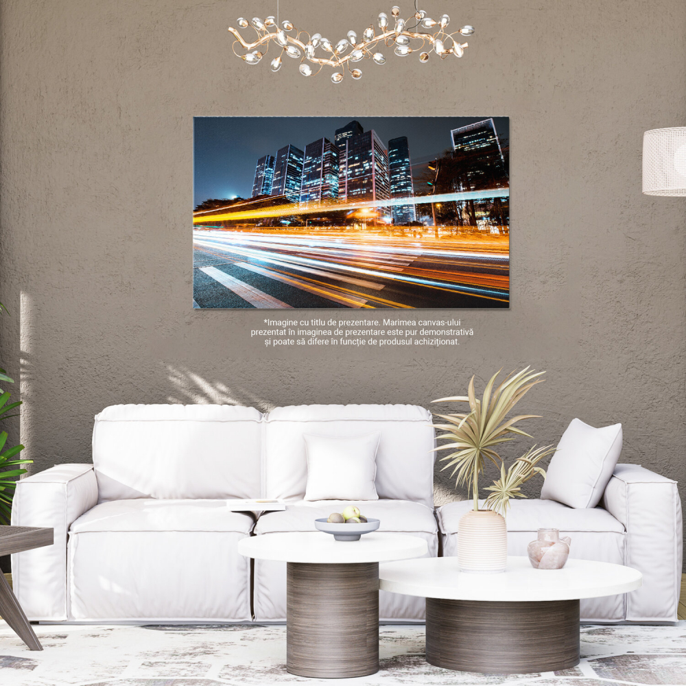 Mișcare Rapidă pe Autostrăzi și Pasarele - Orașul în Flux, Marime 40x25CM [4]