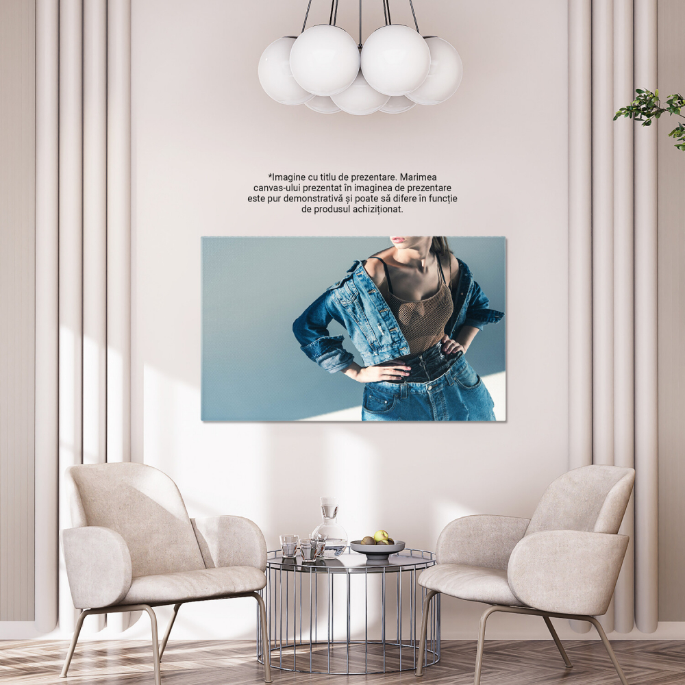 Model Fashion în Denim: Eleganță și Stil, Marime 40x25CM [4]