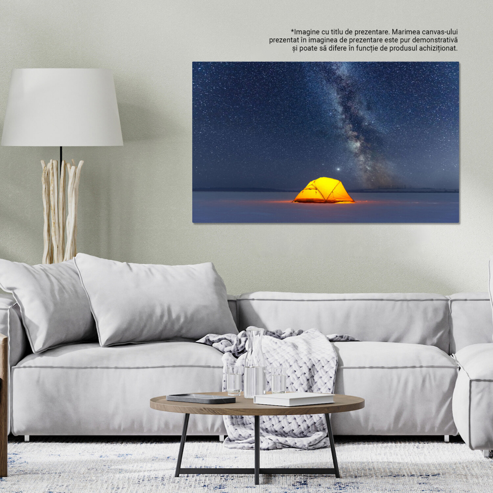 Tablou Canvas Noaptea Sub Stele: Călătorie Prin Calea Lactee, Marime 40x25CM [3]