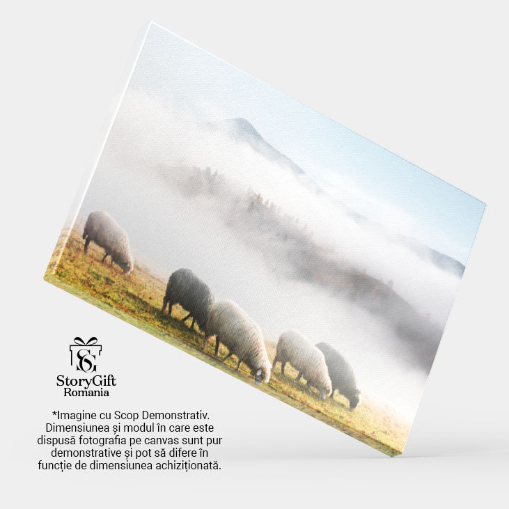 Tablou Canvas - Oi in munte pe ceata: sheeps, foggy, mountain, nature 40x25CM [4]