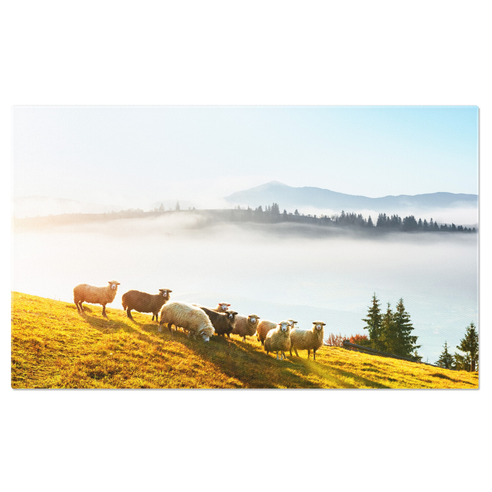 Oi Pășunând pe Câmp - O Frumusețe Naturală, Marime 40x25CM [1]