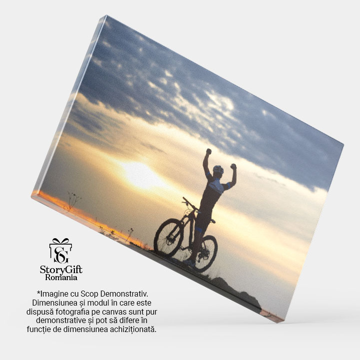 Tablou Canvas Om in Haine Sport si Casca, Langa Bicicleta, Silueta, Bicicleta, Ciclism, Vacanta, Vedere 2898 40x25CM [4]