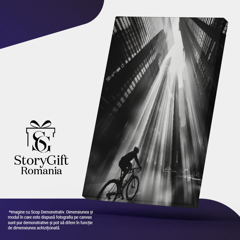 Tablou Canvas:  Om pe Bicicletă în Razele Soarelui pe Stradă- Clădiri Înalte și Fotografie Alb-Negru Pictura Digitala 40x25CM [5]