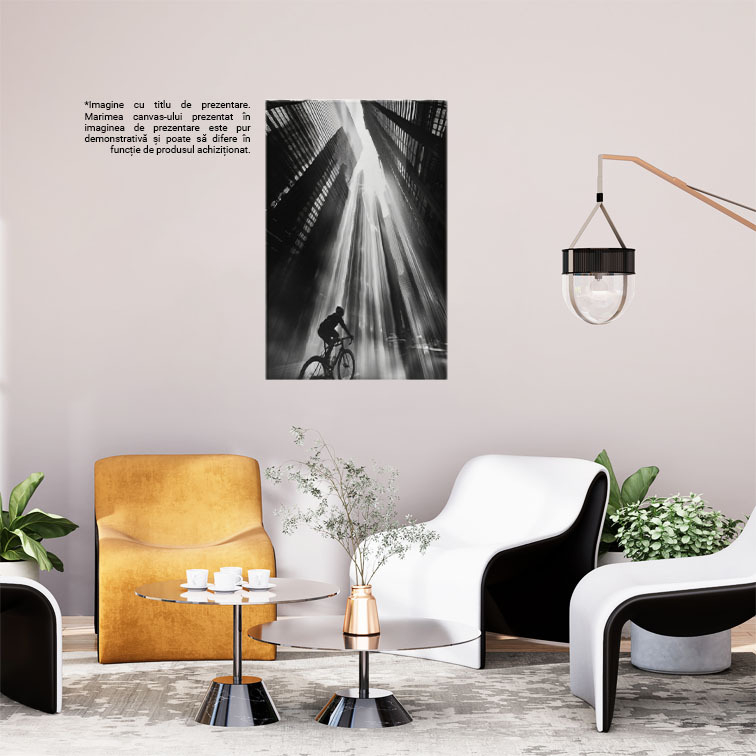 Tablou Canvas:  Om pe Bicicletă în Razele Soarelui pe Stradă- Clădiri Înalte și Fotografie Alb-Negru Pictura Digitala 40x25CM [2]