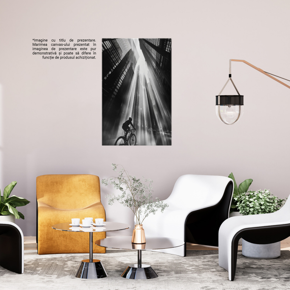 Om pe Bicicletă în Razele Soarelui - Eleganță Urbană în Alb-Negru, Marime 40x25CM [3]
