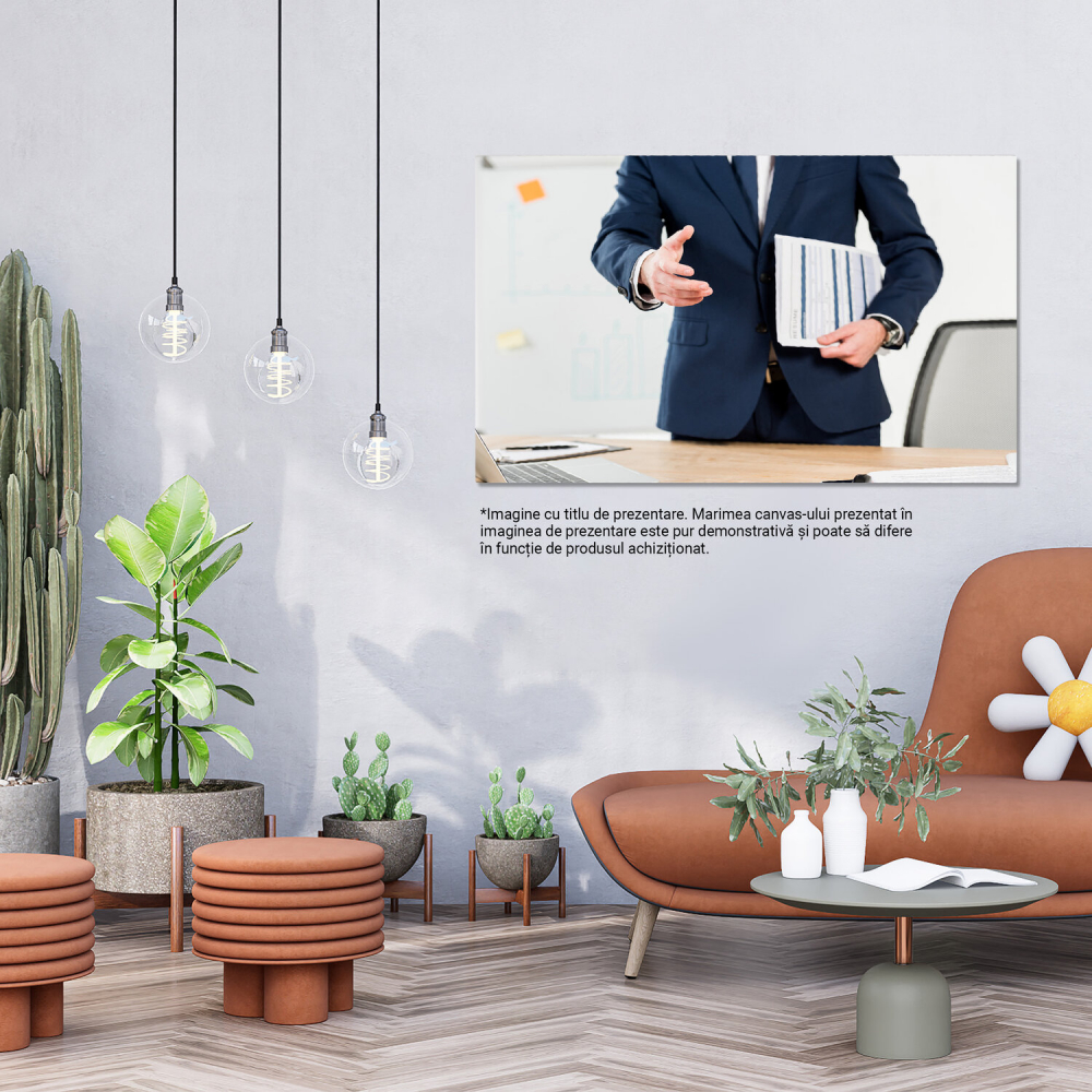 Oportunitatea Carieriei: O Viziune a Succesului Profesional, Marime 40x25CM [3]