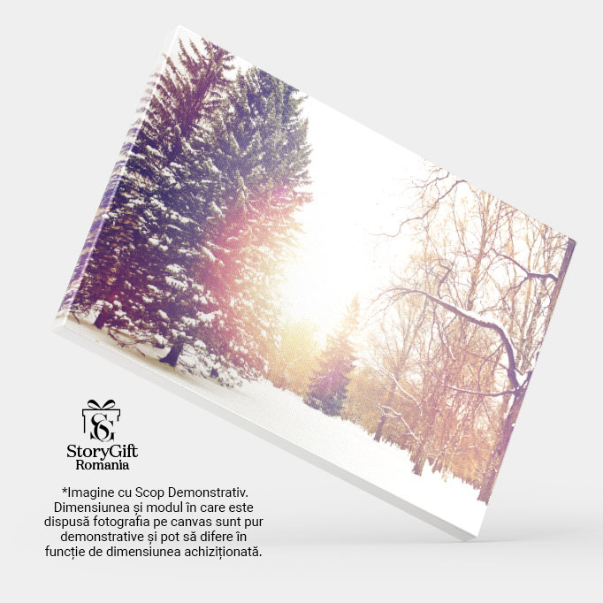 Tablou Canvas Padure de Iarna cu Brazi si Zapada, iarna, padure, natura, zapada, Craciun 5160 40x25CM [4]
