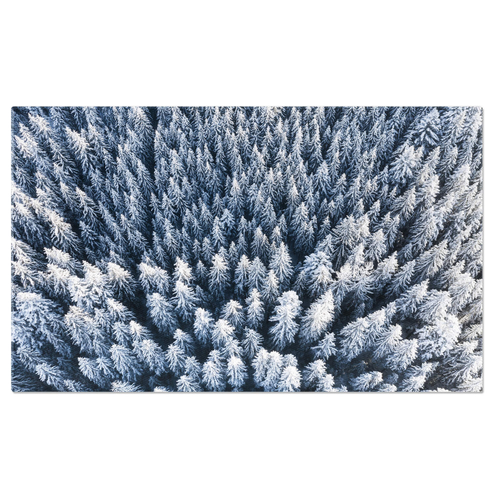 Padure Iarna Aeriana, Marime 40x25CM [1]