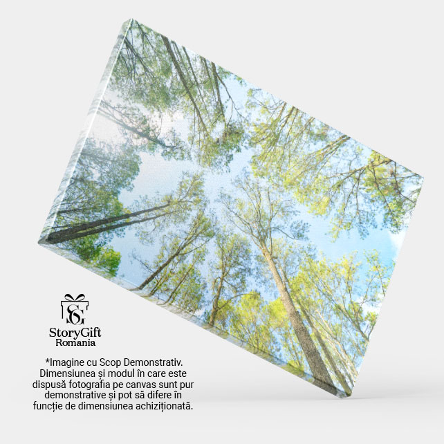 Tablou Canvas Padure Tropicala Cu Arbori Verzi, Natura, Padure, Tropicala, Mediu, Trunchi, Frunze 2857 40x25CM [4]