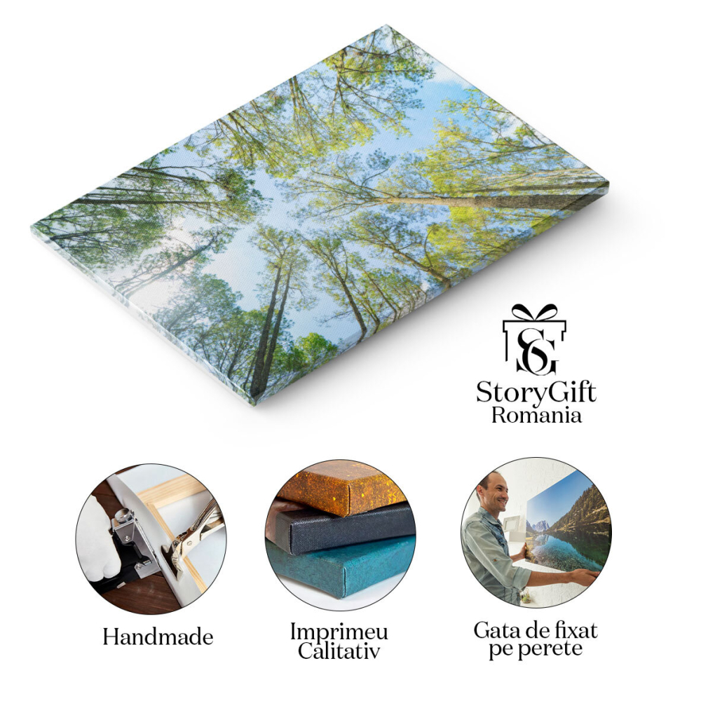 Tablou Canvas Padure Tropicala Cu Arbori Verzi, Natura, Padure, Tropicala, Mediu, Trunchi, Frunze 2857 40x25CM [2]