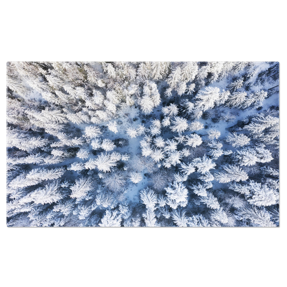 Padurea Iarna, Marime 40x25CM [1]