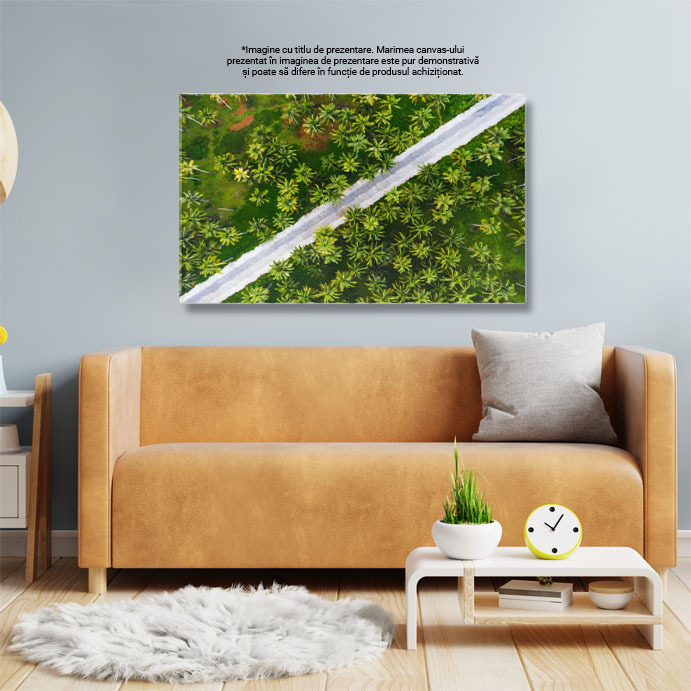Tablou Canvas Padurea Tropicala de Cocos, drona, agricultura, culoare, zi, mediu 4795 40x25CM [3]