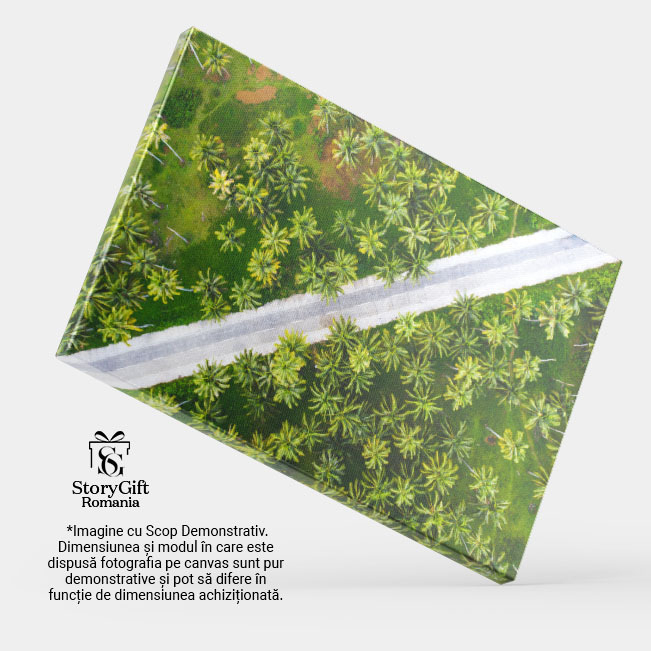 Tablou Canvas Padurea Tropicala de Cocos, drona, agricultura, culoare, zi, mediu 4795 40x25CM [4]