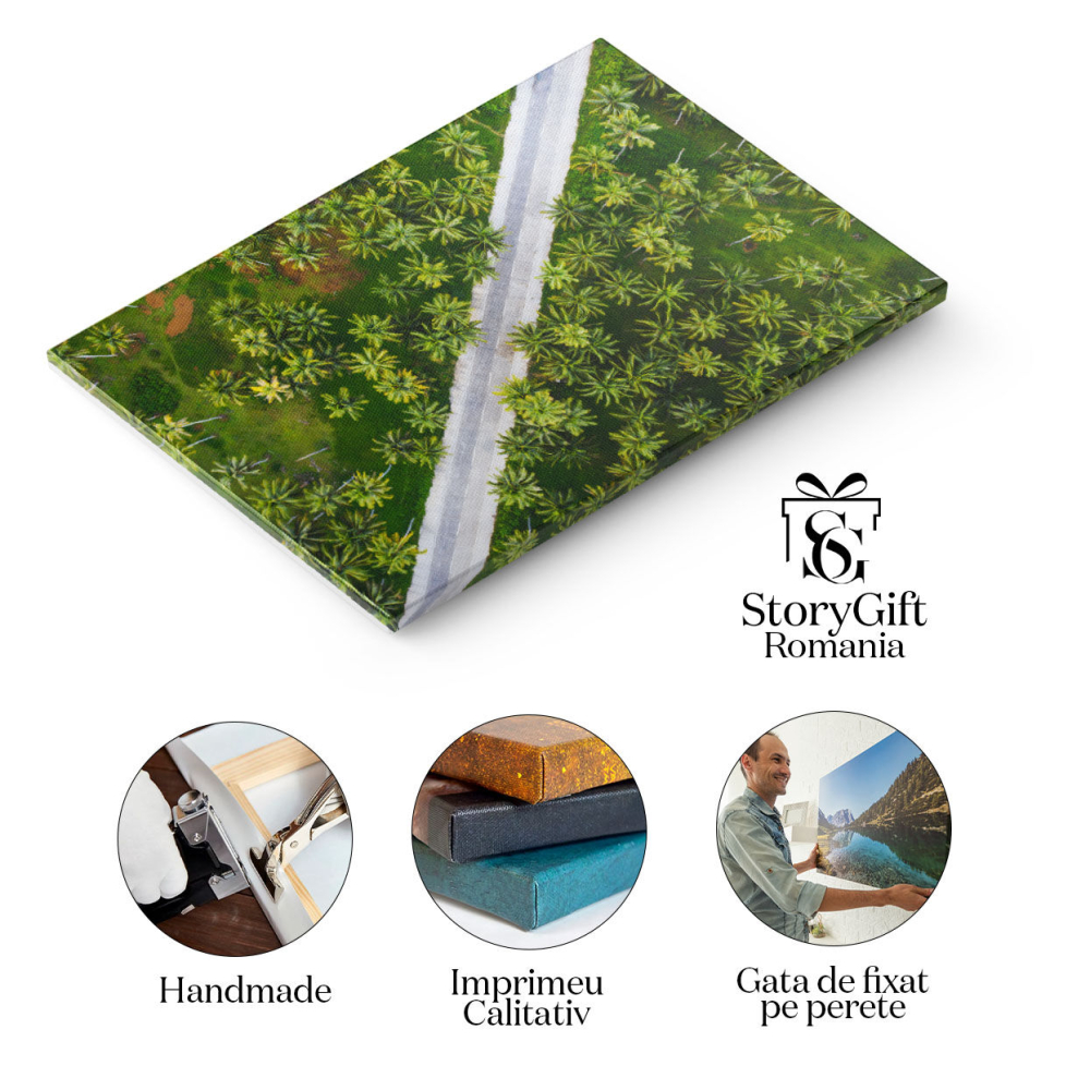 Tablou Canvas Padurea Tropicala de Cocos, drona, agricultura, culoare, zi, mediu 4795 40x25CM [2]