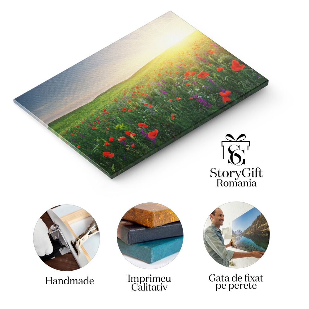 Pajiște de Primăvară: Flori și Soare în Natură, Marime 40x25CM [2]