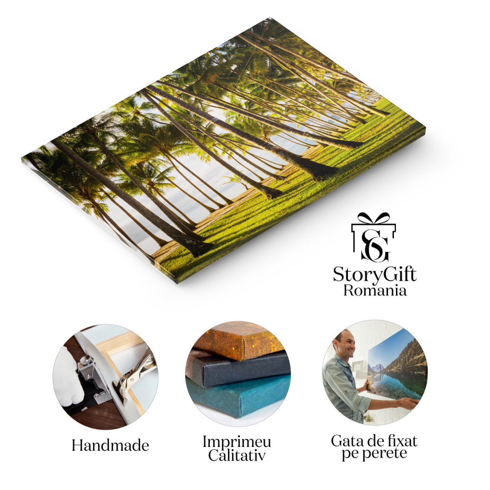 Plaja Tropicală din Palm Cove, Australia - Natură și Ocean, Marime 40x25CM [2]