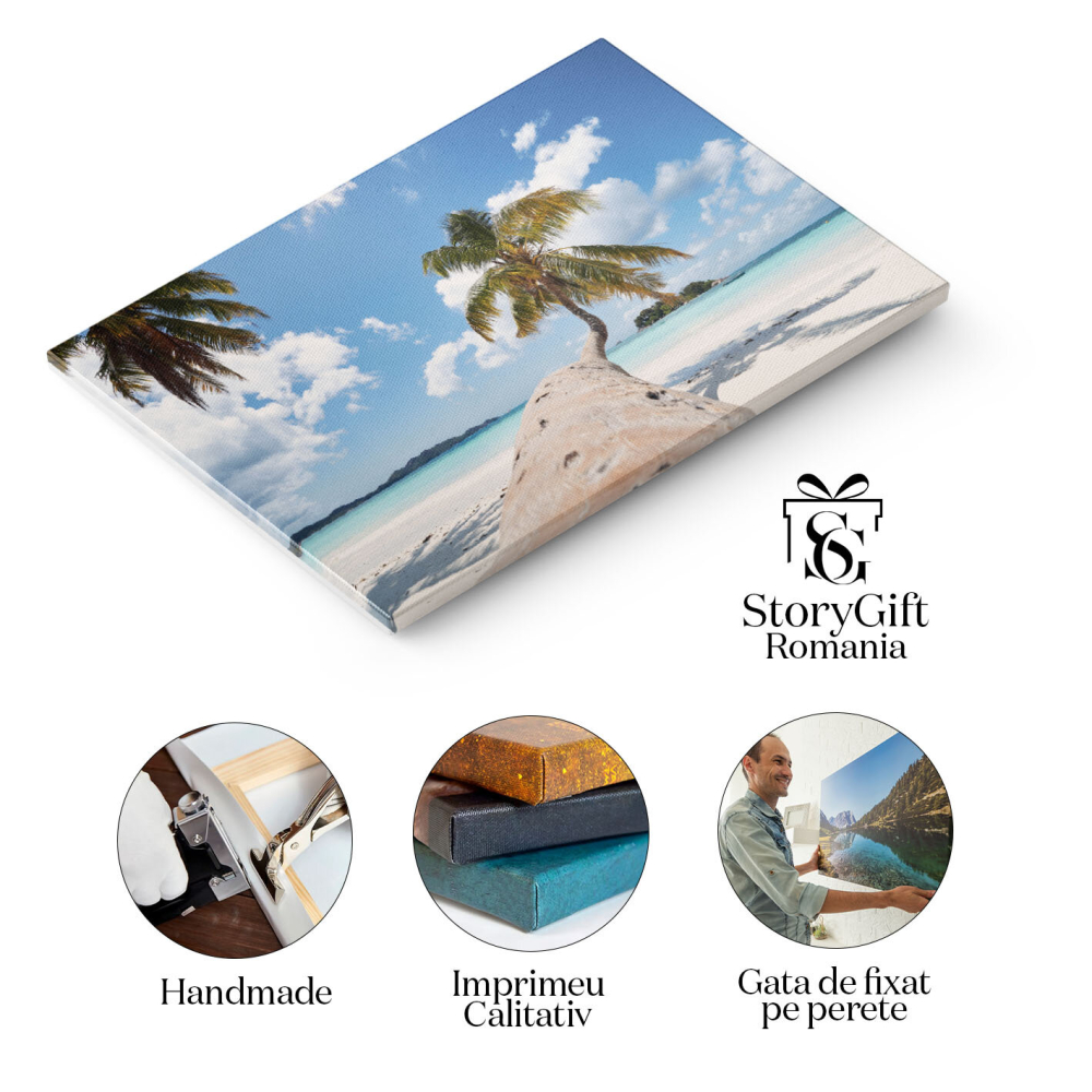 Tablou Canvas Palmier pe Plaja cu Nisip Alb Natura, Peisaj, Seychelles, Insula, Ocean 3455 40x25CM [2]