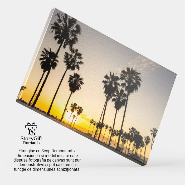 Tablou Canvas Palmieri Retroiluminati la Apus Palmieri, apus, natura, peisaj, relaxare 639 40x25CM [4]