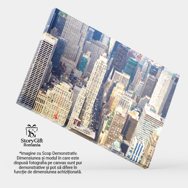 Tablou Canvas: Panorama Aeriala a New York-ului - Skyline si Cladiri Icônice 40x25CM [4]