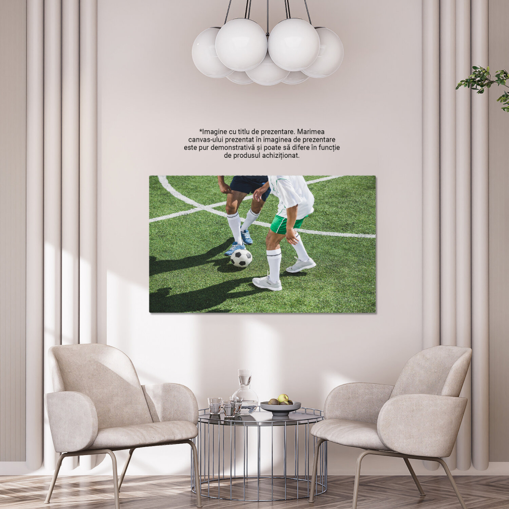 Pasionați de Fotbal - Intensitatea Jocului Campionilor, Marime 40x25CM [4]
