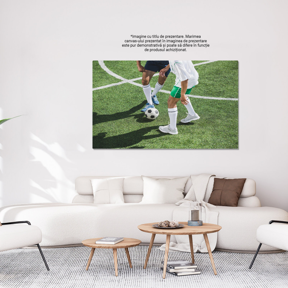 Pasionați de Fotbal - Intensitatea Jocului Campionilor, Marime 40x25CM [3]