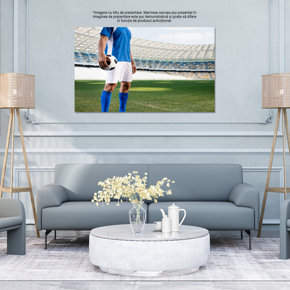 Pasionează pe Teren: Spiritul Fotbalului în Acțiune, Marime 40x25CM [4]