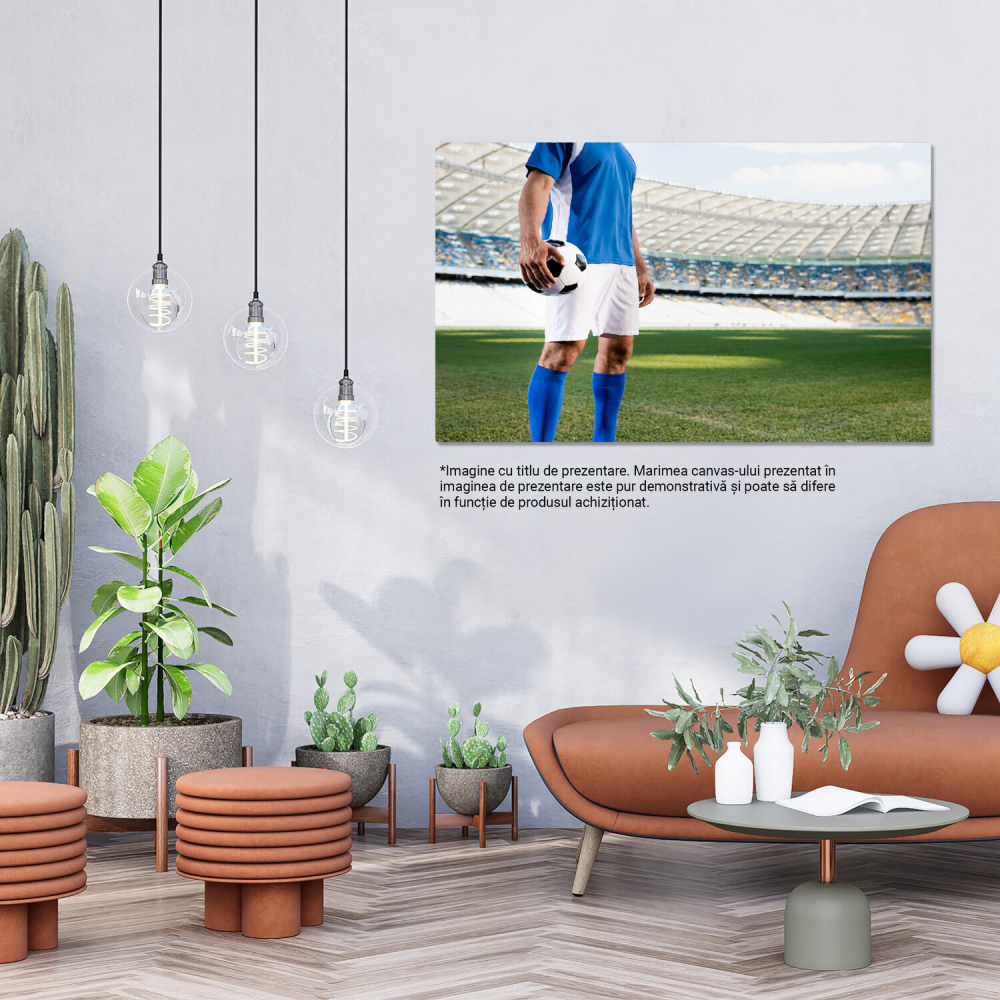 Pasionează pe Teren: Spiritul Fotbalului în Acțiune, Marime 40x25CM [3]