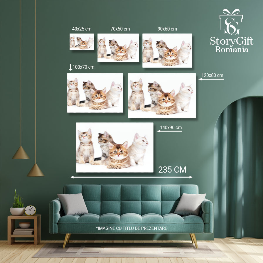 Tablou Canvas Patru Pisoi Animale de Companie, Pisici, Draguti, Mici, Blaniti 1278 40x25CM [5]