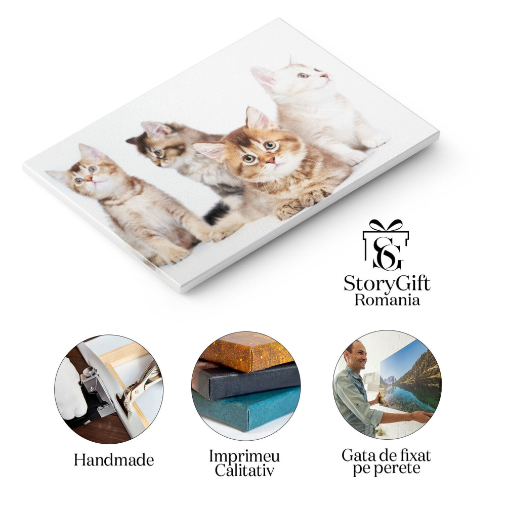 Tablou Canvas Patru Pisoi Animale de Companie, Pisici, Draguti, Mici, Blaniti 1278 40x25CM [2]