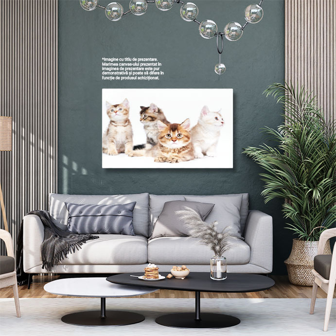 Tablou Canvas Patru Pisoi Animale de Companie, Pisici, Draguti, Mici, Blaniti 1278 40x25CM [3]