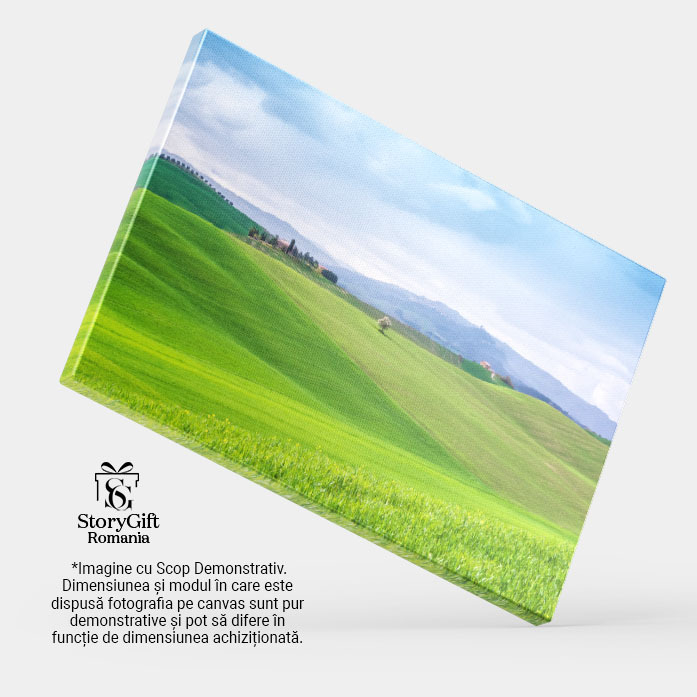 Tablou Canvas Pauza la Ferma Toscanei: Relaxare 40x25CM [4]