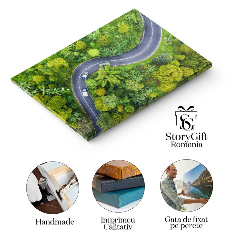 Tablou Canvas Peisaj Aerial cu Padure si Drum, Indonezia aerial, natura, padure, drum, aventura 165 40x25CM [2]