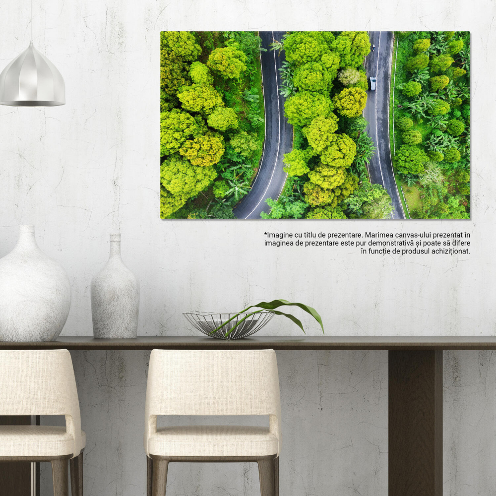 Peisaj Aerial cu Pădure și Drum - Indonezia în Toată Splendoarea, Marime 40x25CM [3]