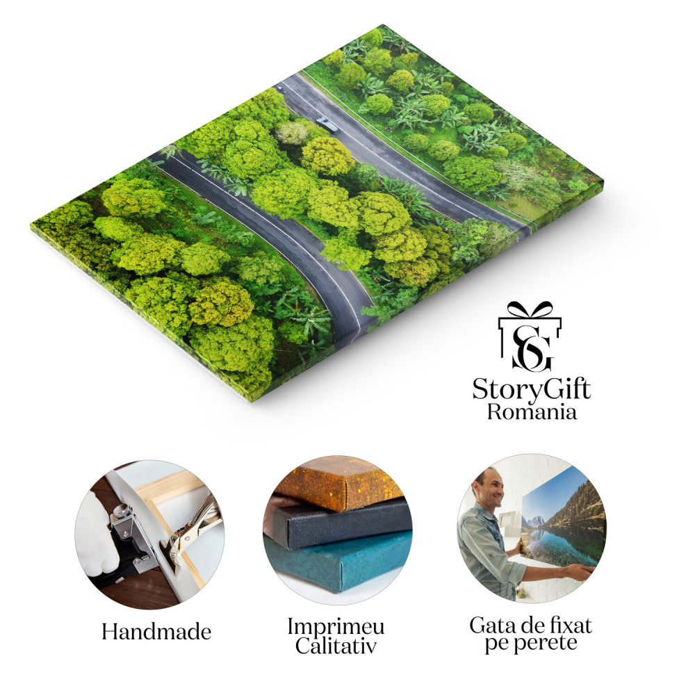 Peisaj Aerial cu Pădure și Drum - Indonezia în Toată Splendoarea, Marime 40x25CM [2]