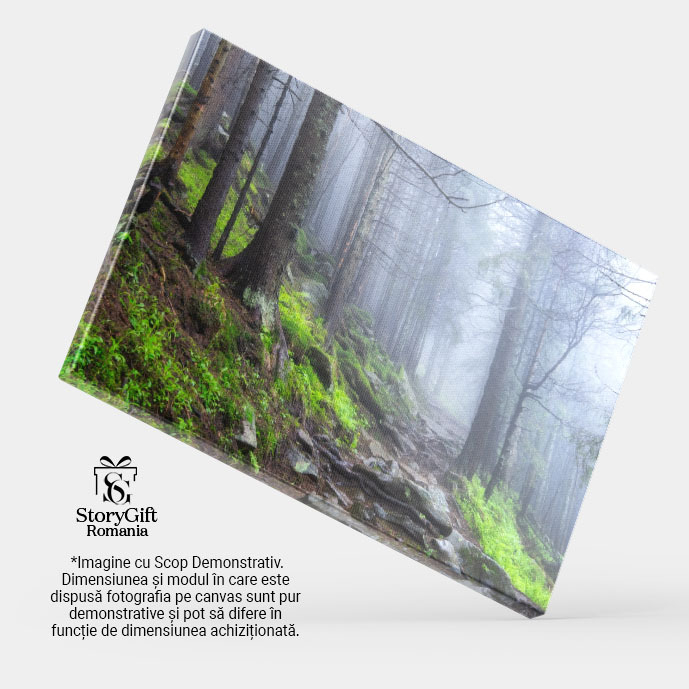 Tablou Canvas Peisaj cu Arbori si Ceasca dupa Ploaie, Toamna, Fantana, Magie, Mister, Padure 2730 40x25CM [4]