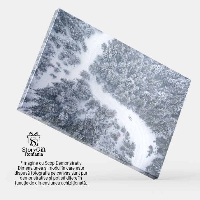 Tablou Canvas Peisaj de Iarna cu Masina, Munte si Priveliste Aeriana 40x25CM [4]