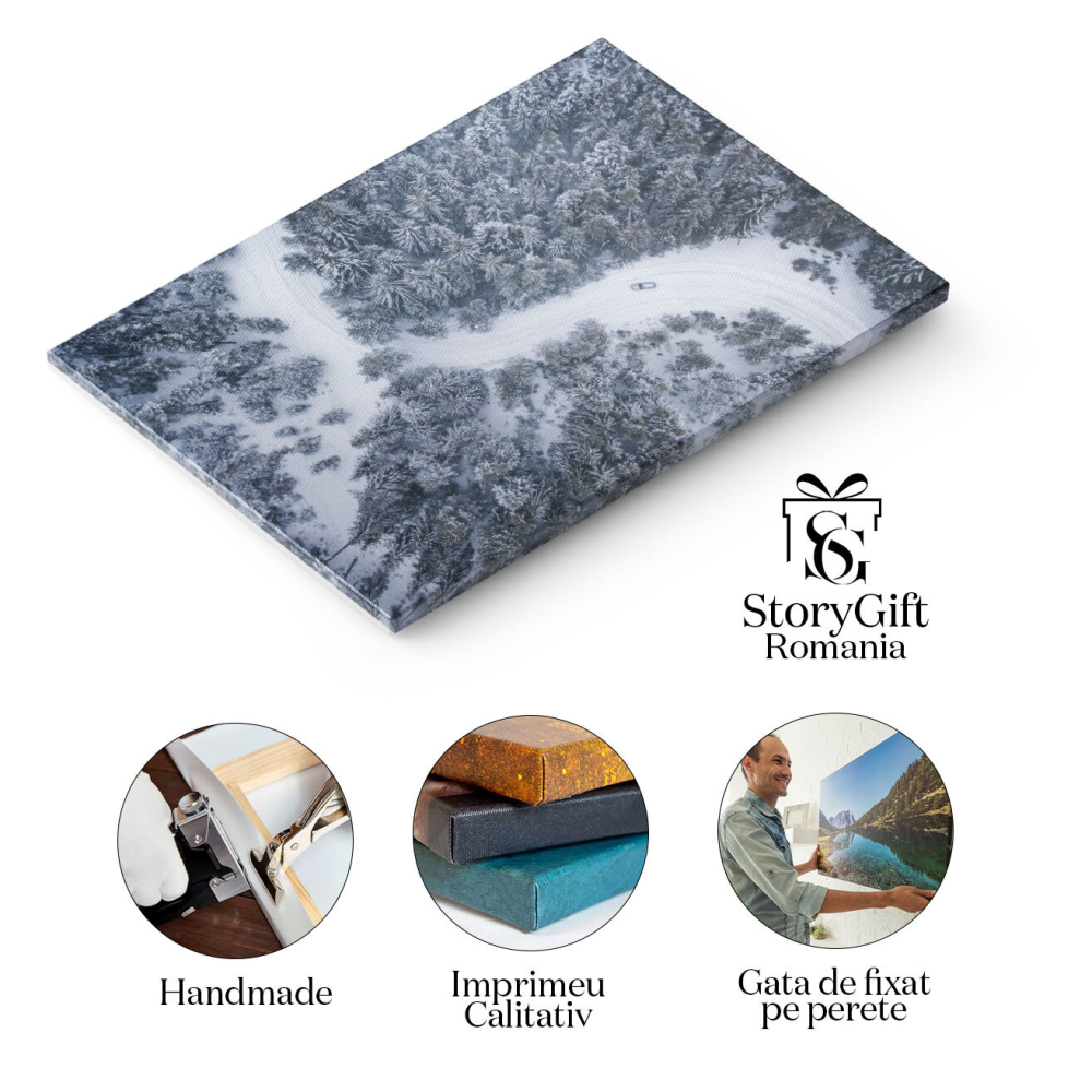 Tablou Canvas Peisaj de Iarna cu Masina, Munte si Priveliste Aeriana 40x25CM [2]