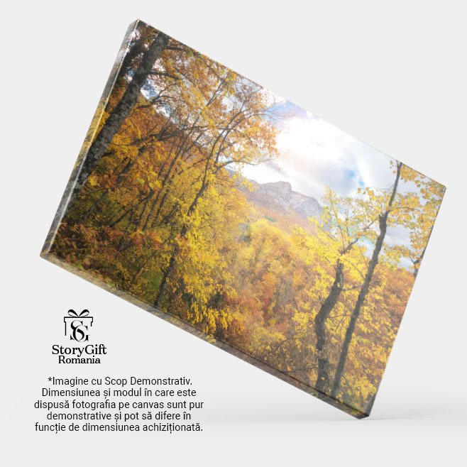 Tablou Canvas Peisaj de Toamna in Padurea Adanca a Muntilor Aventura, toamna, peisaj, natura, padure 607 40x25CM [4]