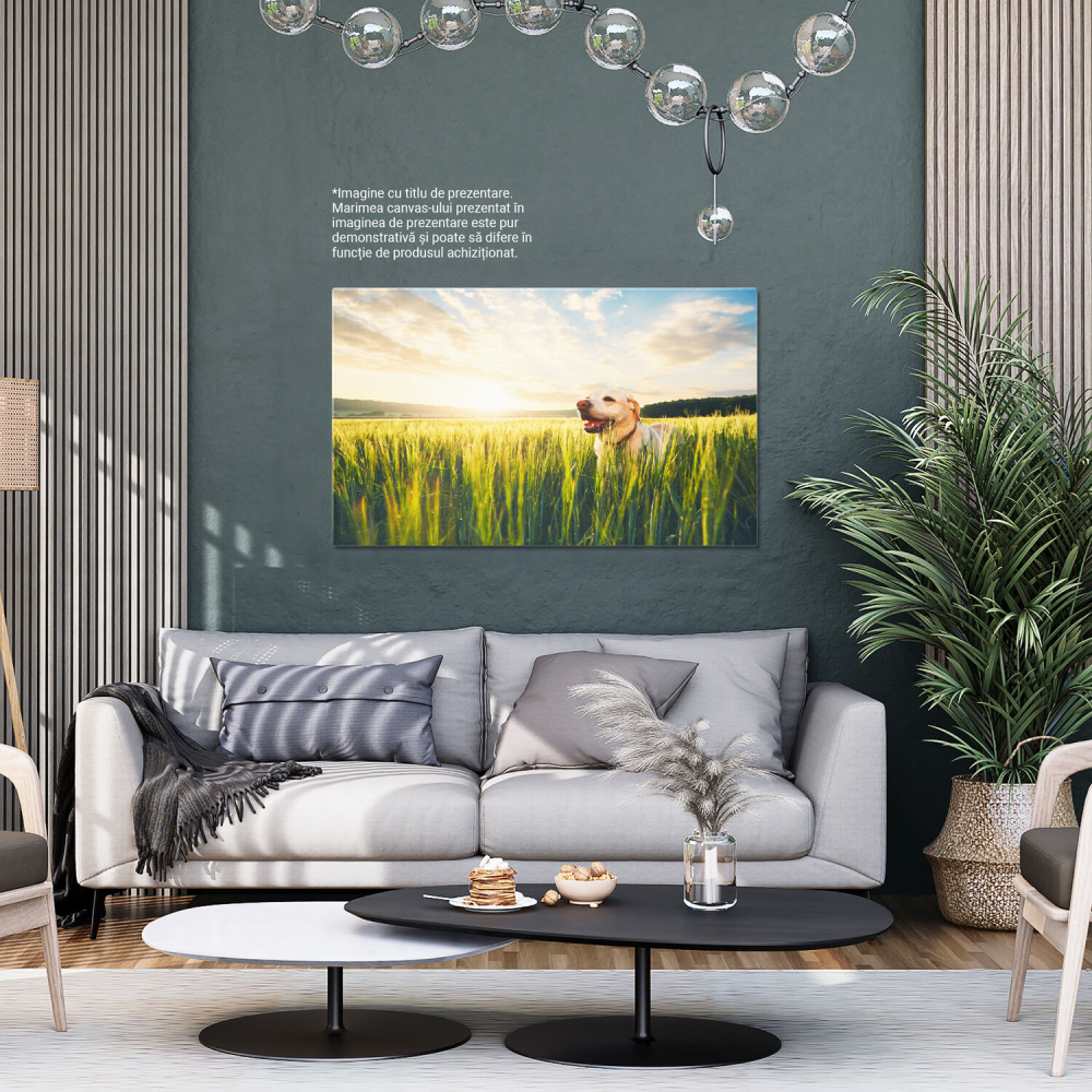 Tablou Canvas: Peisaj de Vară - Soare și Câmpii, Marime 40x25CM [4]