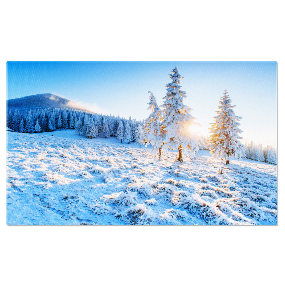 Tablou Canvas Peisaj Iarnă cu Brumă și Raze de Soare - Artă Naturală, Marime 40x25CM [1]