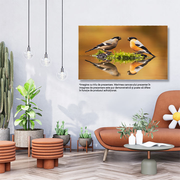 Tablou Canvas Pereche de Ciocantatori Eurasiatice Mascul si Feminin Pasari, Lac, Reflectie, Natura, Eleganta 3445 40x25CM [3]