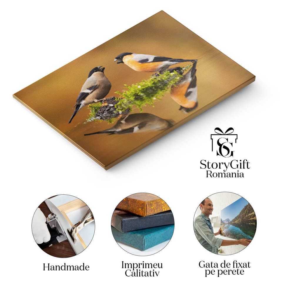 Tablou Canvas Pereche de Ciocantatori Eurasiatice Mascul si Feminin Pasari, Lac, Reflectie, Natura, Eleganta 3445 40x25CM [2]