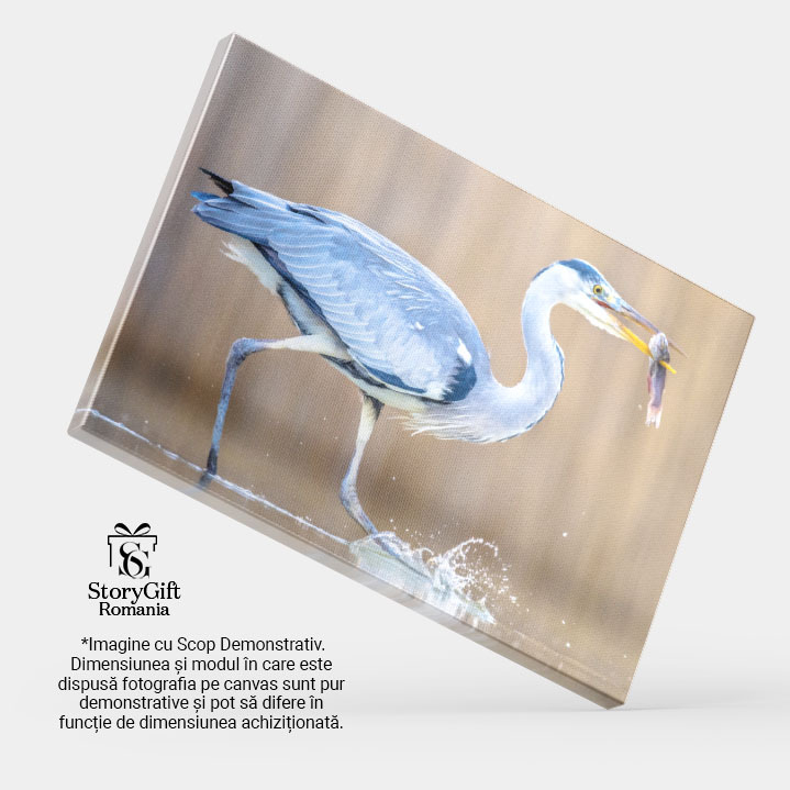 Tablou Canvas Pescar Egreta - Mestecand in Ungaria 40x25CM [4]