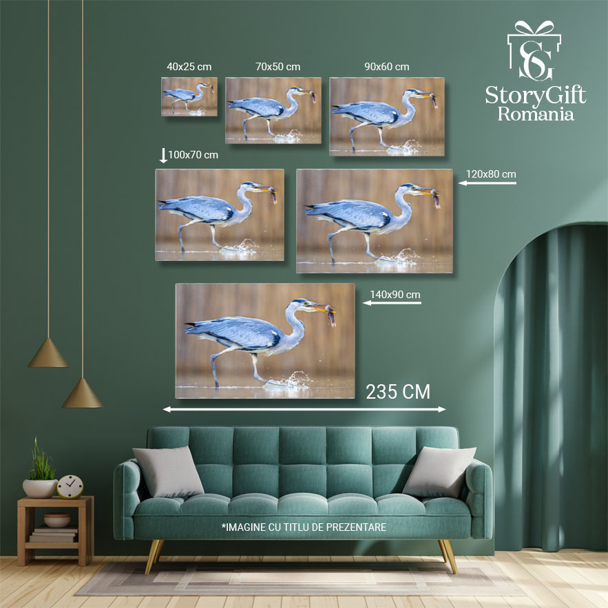 Tablou Canvas Pescar Egreta - Mestecand in Ungaria 40x25CM [5]