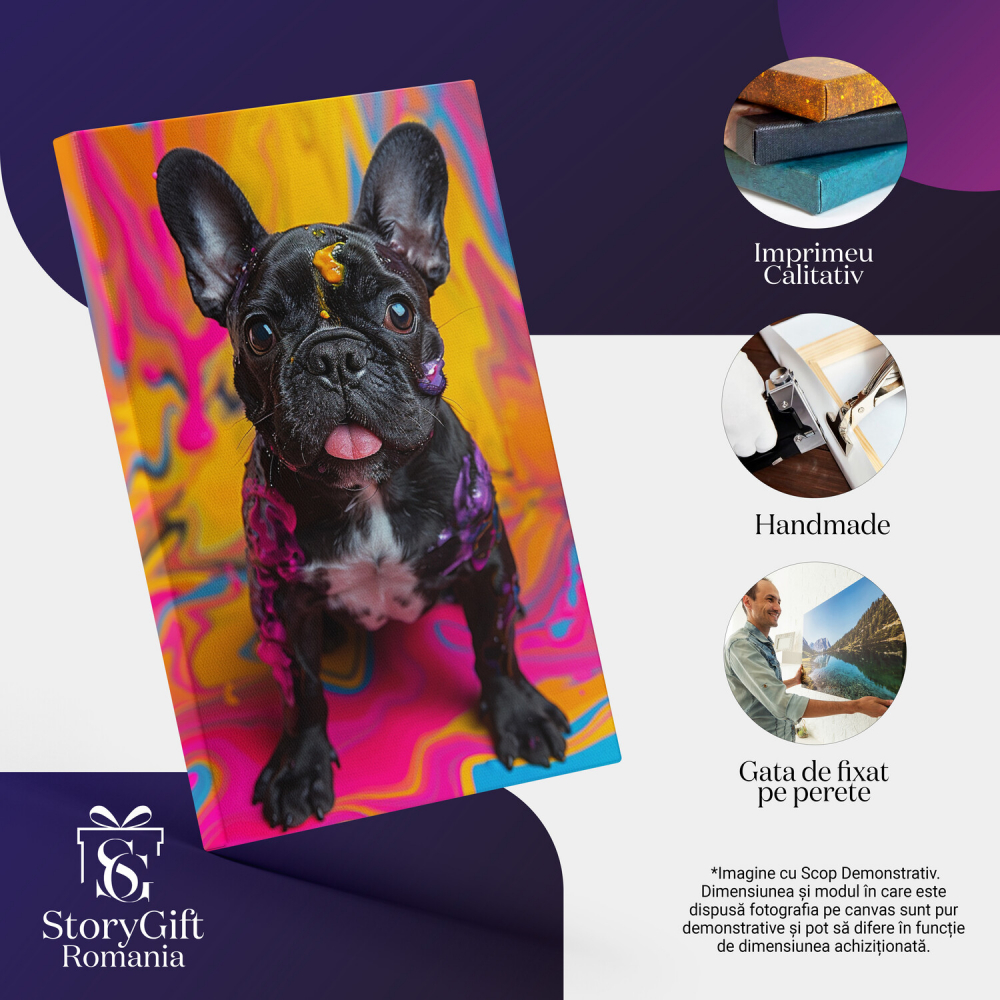 BullDog Francez cu Ochii Mari lângă Perete Colorat - Tablou Canvas, Marime 40x25CM [2]