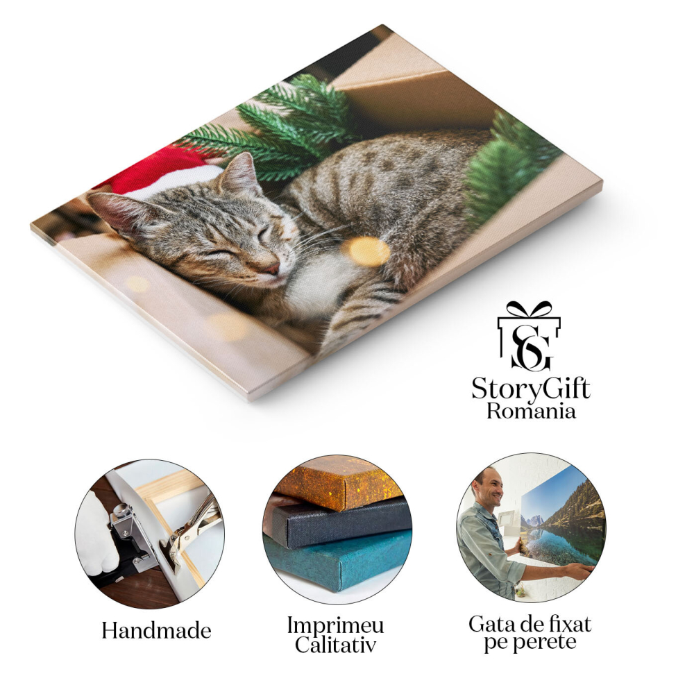 Tablou Canvas Pisica Tabby cu Palarie de Mos Craciun Rosie pisica, relaxare, Craciun fericit, cadou, umor 1577 40x25CM [2]