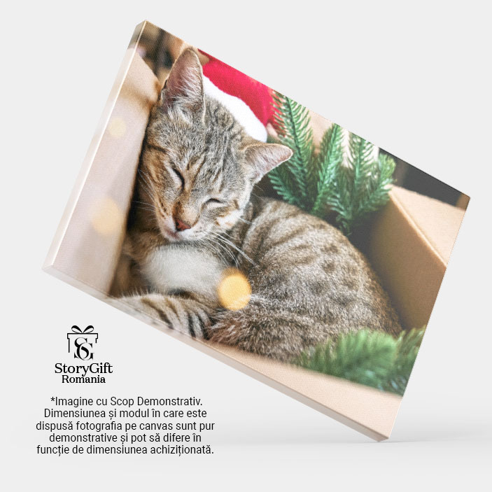 Tablou Canvas Pisica Tabby cu Palarie de Mos Craciun Rosie pisica, relaxare, Craciun fericit, cadou, umor 1577 40x25CM [4]