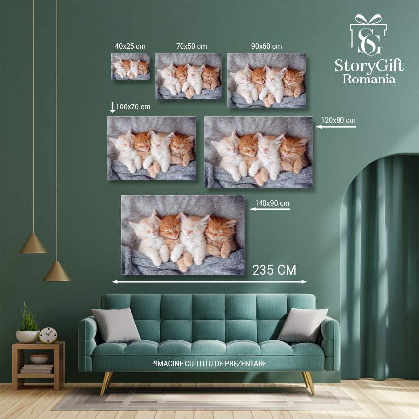 Tablou Canvas - Pisicuta ginger relaxandu-se: blanita stralucitoare, somn adanc si confort domestic 40x25CM [5]
