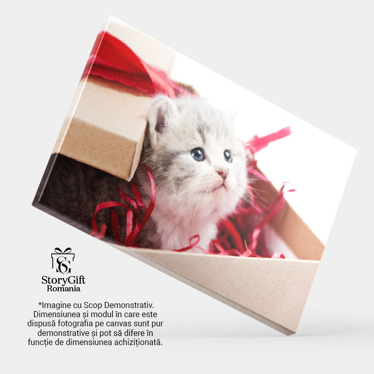 Tablou Canvas Pisicuta Gri Curioasa Privind de Pe Masa de Decoratii, Pisica, Draguta, Jucarie, Pufos 2795 40x25CM [4]