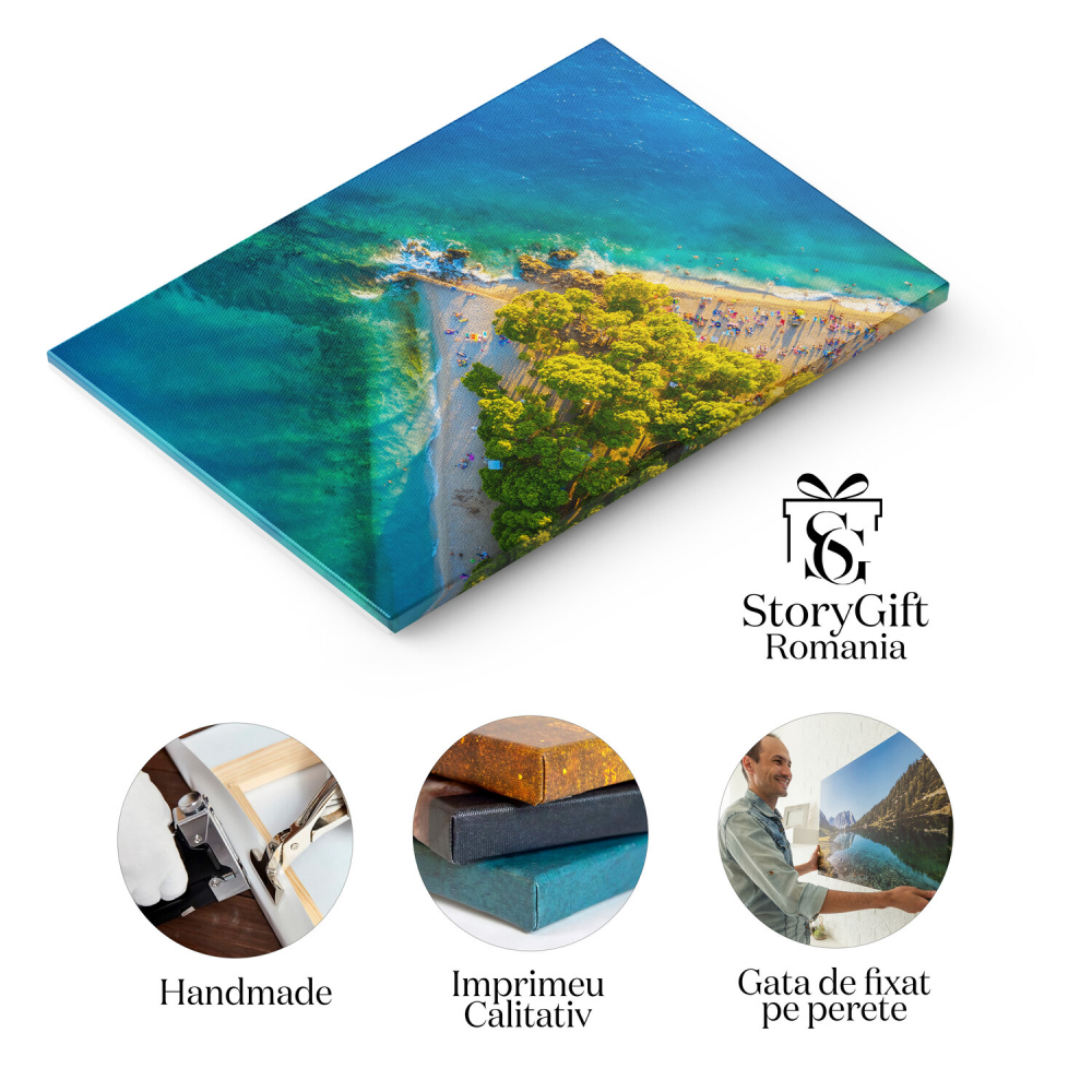 Plaja Copaci Vedere de Sus, Marime 40x25CM [2]